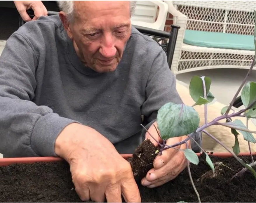 An elderly man tending carefully to a planter box on the porch at Lavender Fields